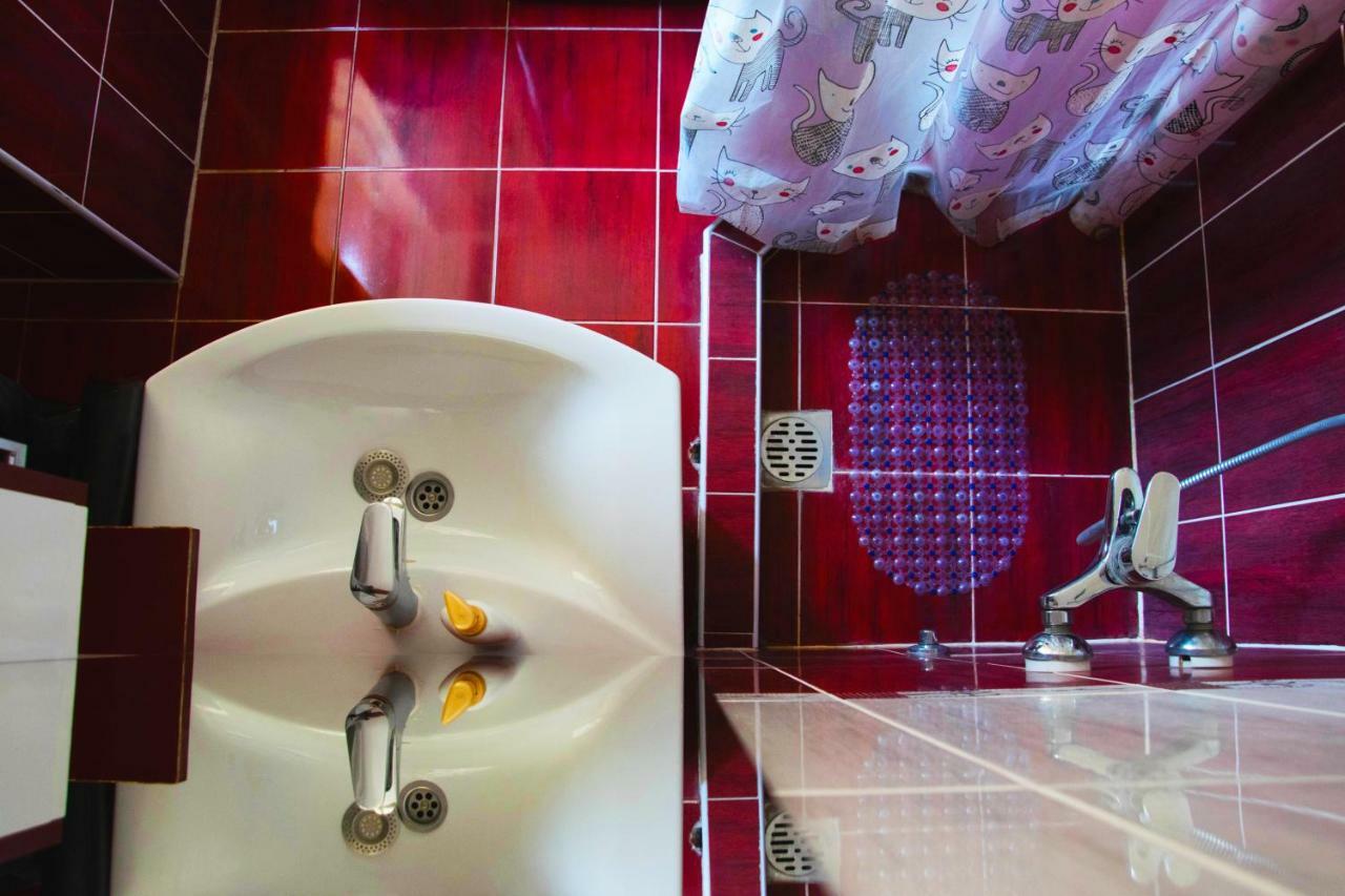 Apartment Danica بلغراد المظهر الخارجي الصورة